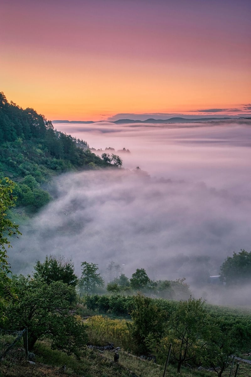 Mystical realms