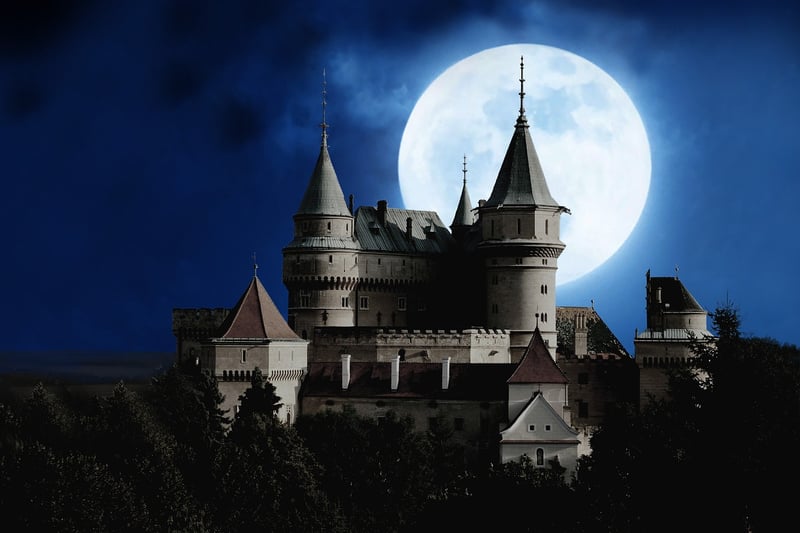 Enchanted Sanctuary