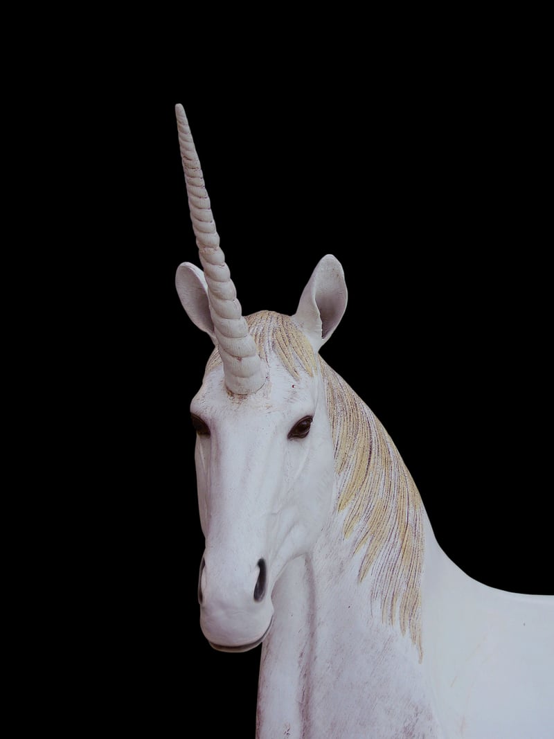 Starlight Unicorn
